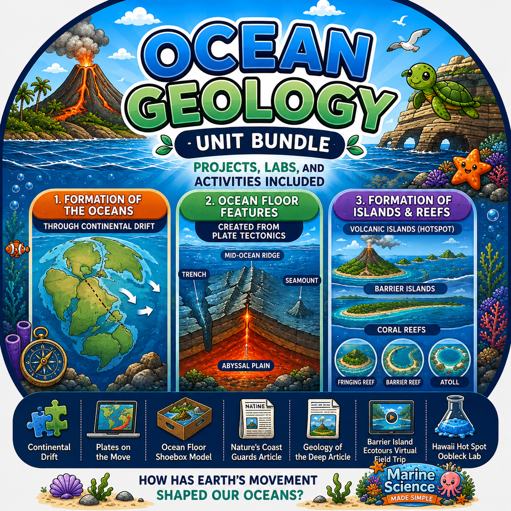 Ocean Geology Unit Bundle