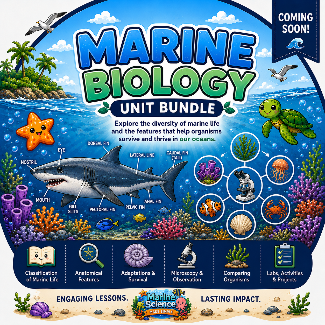 Marine Biology Unit Bundle