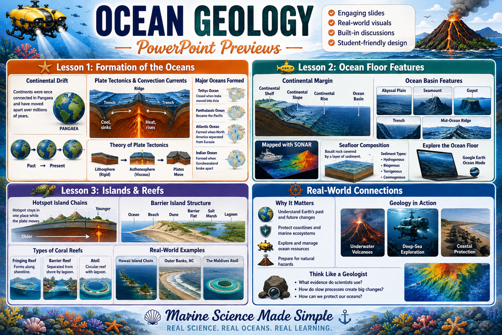 Ocean Geology Unit Bundle